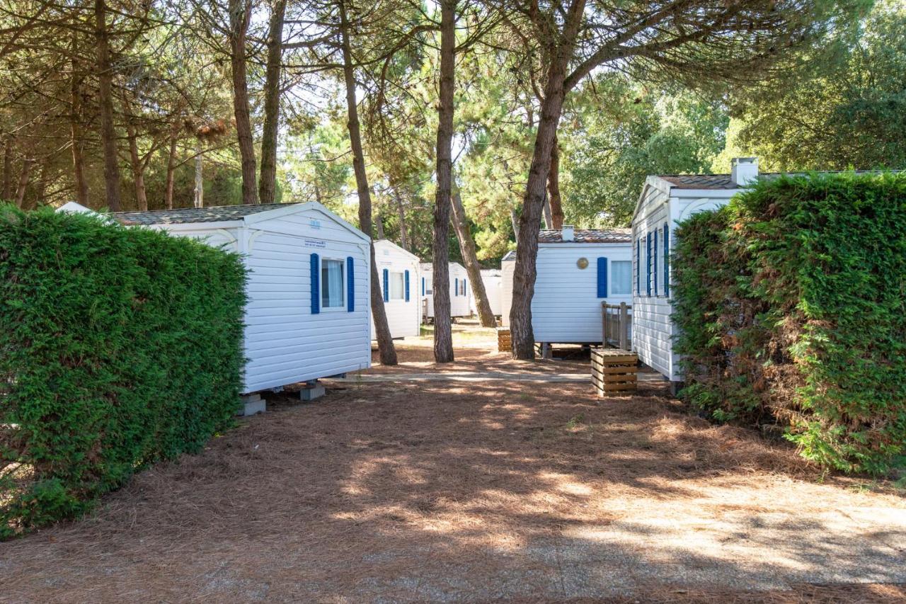 Camping Les Maraises سان مارتن دو ر المظهر الخارجي الصورة